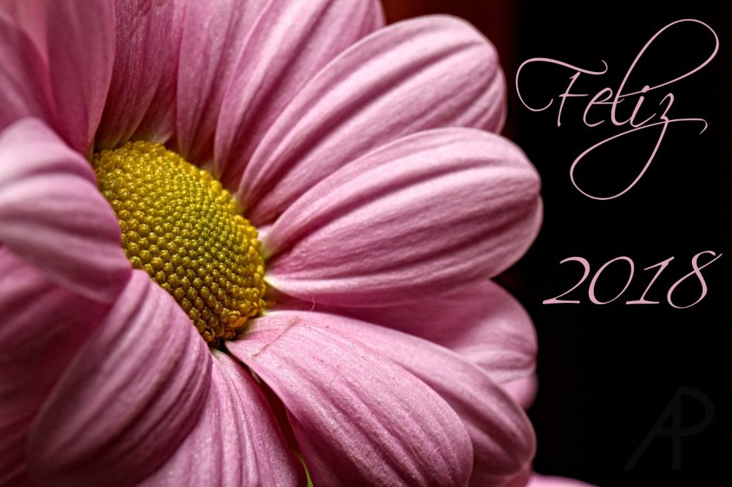 ¡Feliz 2018! 1 Feliz 2018